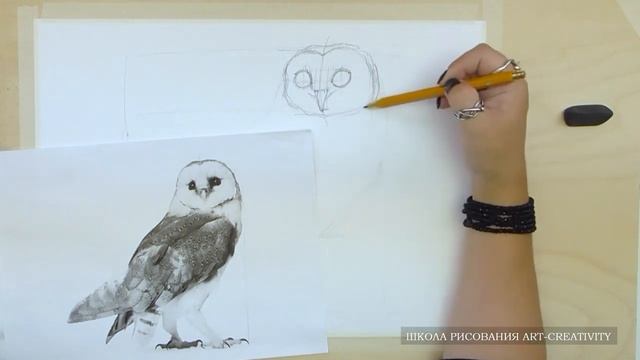 2 Начало работы Рисунок карандашом, построение совы смотреть онлайн
