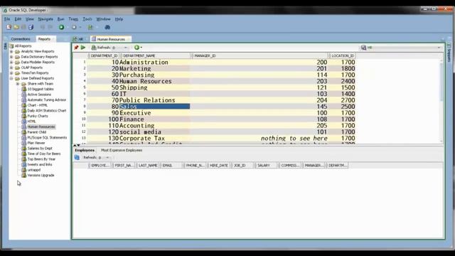 An Overview of Oracle SQL Developer Reports смотреть онлайн