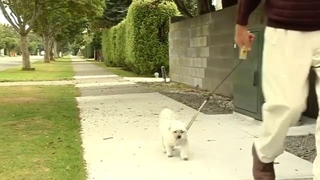 Чтобы Добиться Успеха Начинай Свой День Так! Утренние Привычки Успешных Людей, Миллионеров, Богатых смотреть онлайн