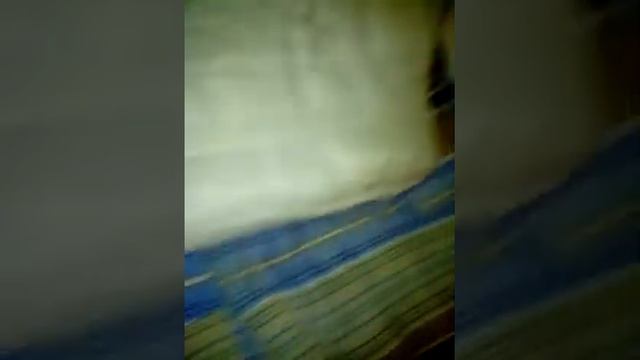 Матрас рассадник клопов. Жесть!!!