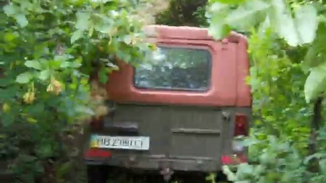 Я с Зубцовым в лесу вид с зади смотреть онлайн