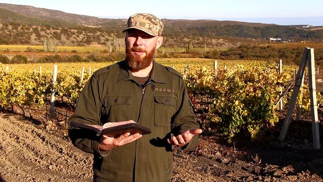 О крымских растениях в Библии | #ВИНОГРАД | смотреть онлайн