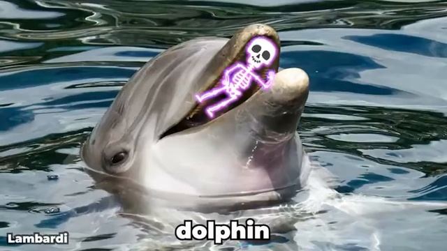 13 Skeleton Dance Sound Variations in 31 Seconds смотреть онлайн