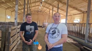 Свой бизнес на овцеводстве! С чего начать? Как обустроить ферму? Содержание молочных и мясных овец!