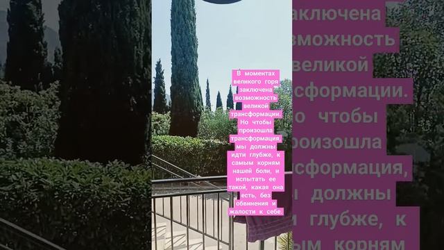 Ошо дзен таро расклад гороскоп совет ангелов высшие силы смотреть онлайн