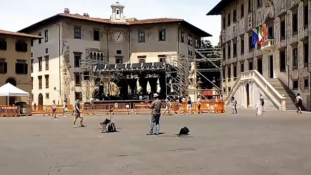 Случайный музыкант смотреть онлайн