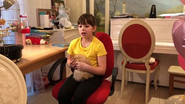 Последний звонок 2020 онлайн