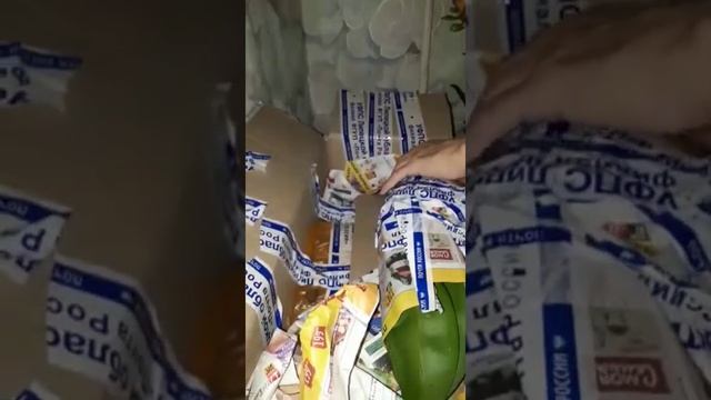 #Орхидеи Зорро и Равелло смотреть онлайн