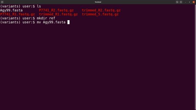 Variant Calling using BCFTOOLS | BCFTOOLS Tutorial | Germline variant calling смотреть онлайн