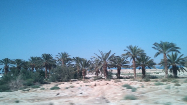 Мёртвое море 3. Новости Жирновска - форум ЖИРАФ смотреть онлайн