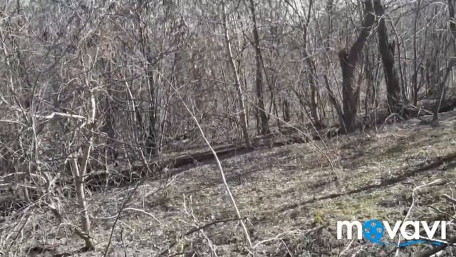 Где живут фазаны смотреть онлайн