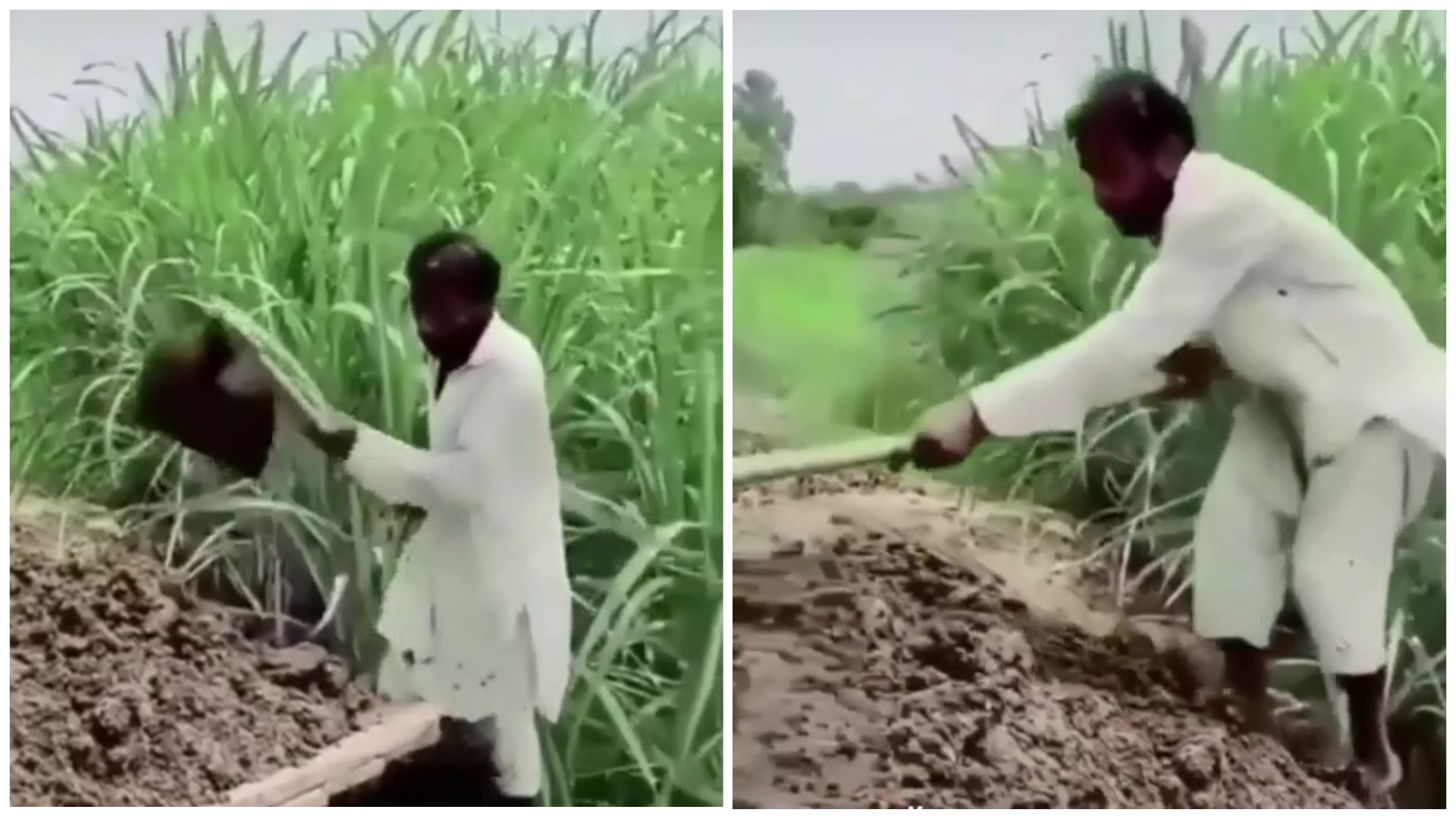 Бедный осел. Стоял никого не трогал??