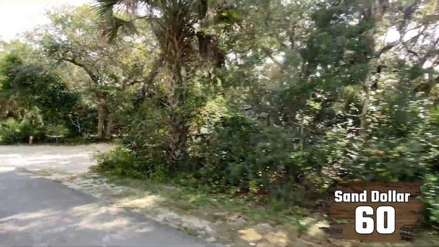 Anastasia State Park Campground Tour, St. Augustine (RV Living Full Time) 4K смотреть онлайн