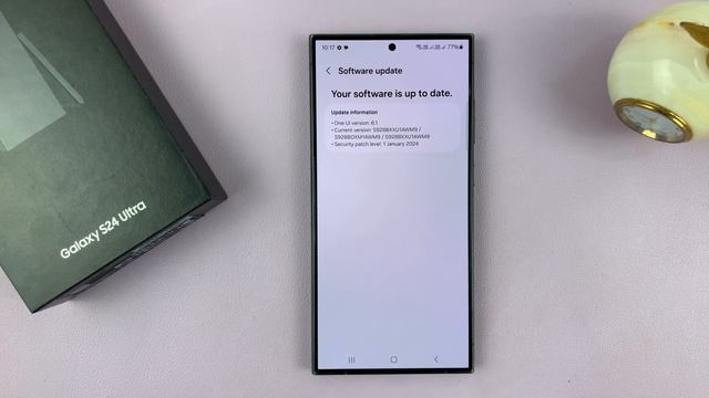 Samsung Galaxy S24/ S24+/ S24 Ultra - How To Update