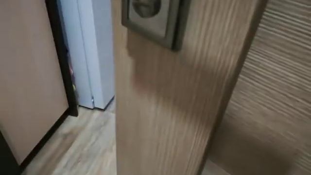 Чихуахуа Фунтик играет с хозяином перед гулянкой смотреть онлайн