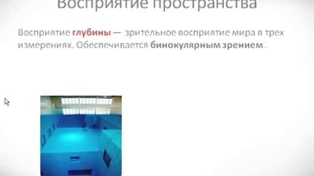 Психология урок 19 Виды восприятия смотреть онлайн