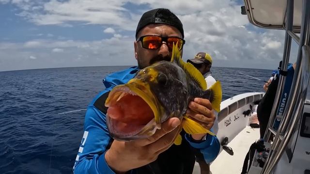 Maldivler'de Rekor Balık Yakaladık / Giant Trevally ve Onlarca Yeni Tür !! смотреть онлайн