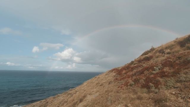 Traurige VANLIFE Erkenntnis. смотреть онлайн