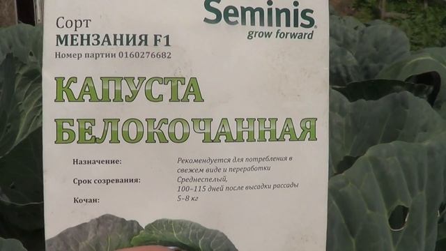 Обзор капусты, разной смотреть онлайн