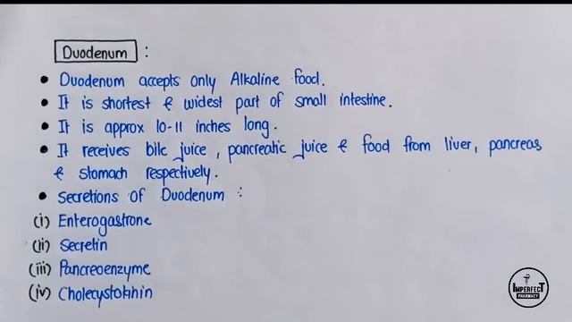Digestive System | Parts Of Digestive System | Human Anatomy And Physiology | B Pharma 2nd Semester смотреть онлайн