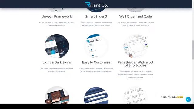 Riliant - Corporate Business Agency WordPress Theme 15 rtl Easy Create Website смотреть онлайн