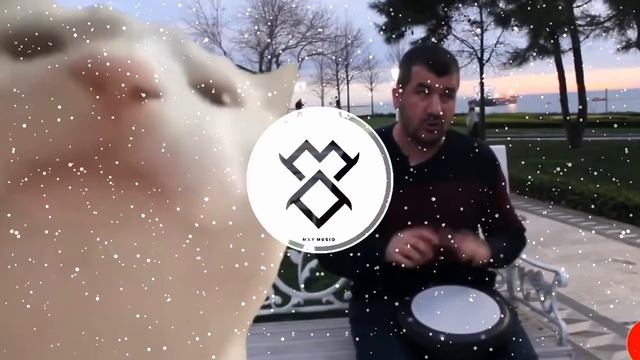 Cat Vibing To Ievan Polkka (Composerily Remix) (Cat Vibing Meme) смотреть онлайн