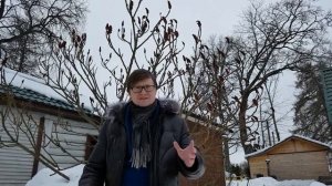 «Висельник»