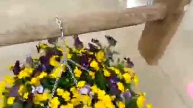 SeedSation Seed Mixes IV смотреть онлайн