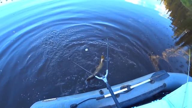 Летняя рыбалка на ТРОФЕЙНЫХ ЩУК и ГОРБАТЫХ ОКУНЕЙ. Готовим УХУ на турбопечке. Полная версия. смотреть онлайн