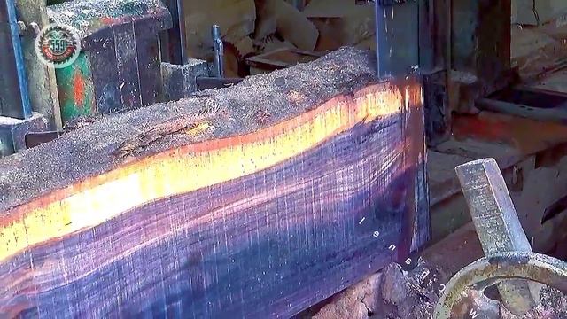 Amazing Sawmill Of The Hardest And Most Dangerous Sonokeling Wood In Sawmill Price Is 100 Million