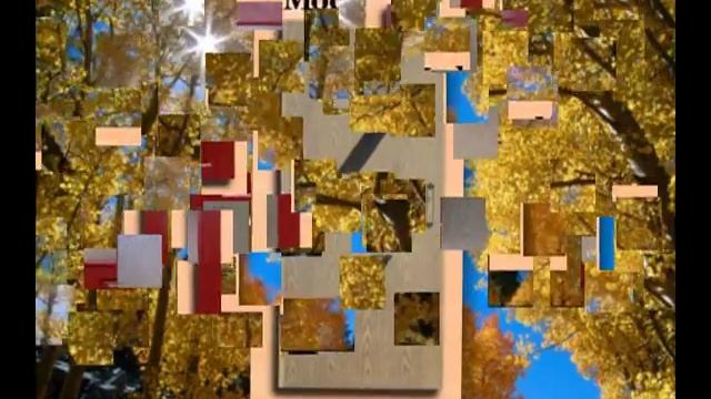 Sc Workshop Srl Reghin - Producator Usi De Interior