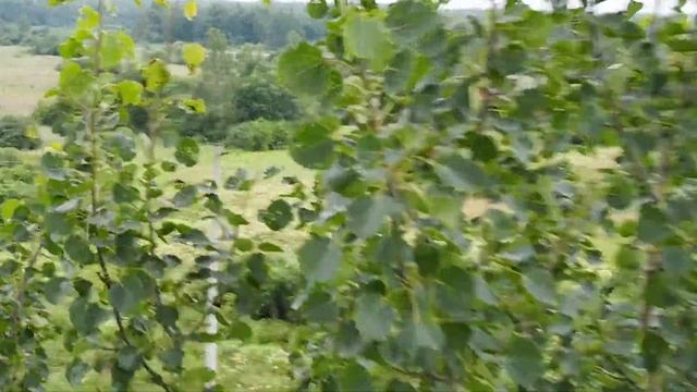 Фестиваль воздушных шаров. Переславль-Залесский. 19.07.2020 г. смотреть онлайн