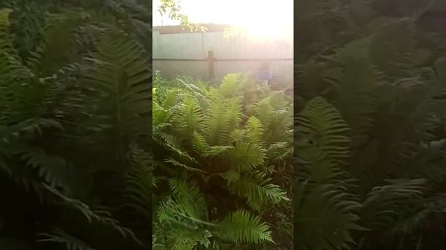 Дача 20 м² на участке 5 сот. смотреть онлайн