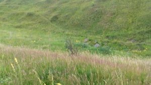 Цыганский камень около Куликова поля.