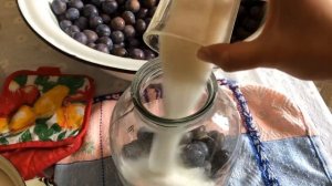 ОБАЛДЕННО-Вкусный и очень Полезный  Компот из ТЁРНА  / Самый Знаменитый Компот в Азербайджане ???