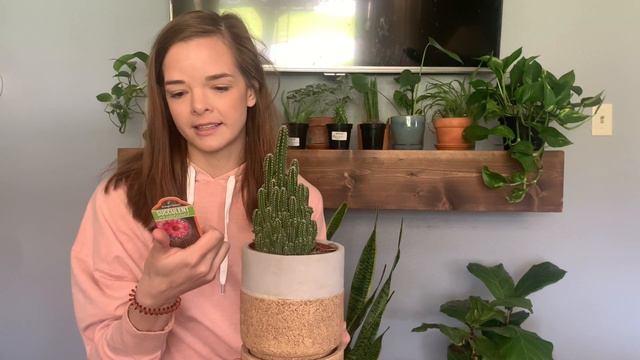 Maybe i won't KILL this one?! // mini plant haul + house plant tour смотреть онлайн