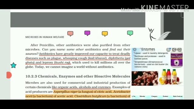 Biology,Class 12, Chapter 10,Video 2/4 смотреть онлайн