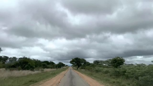 African farming | Zimbabwe farm life | Raising cattle in Chivhu смотреть онлайн