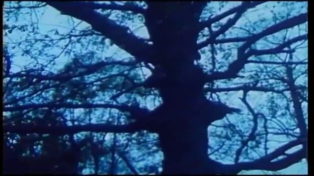 Нина Бродская Снежинка смотреть онлайн