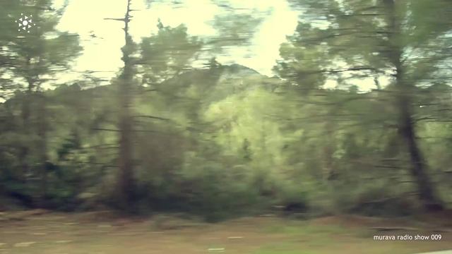 Sugarman MURAVA Radio Show 009