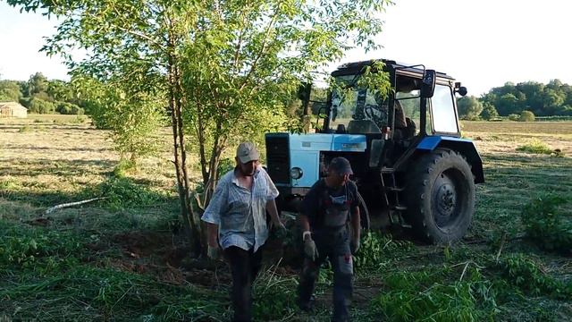 Выкорчёвывание деревьев. смотреть онлайн