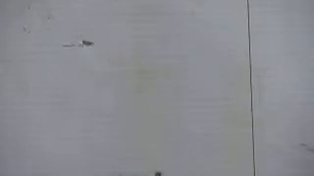 Поликарбонат 4 мм смотреть онлайн