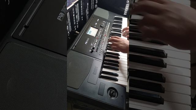 FolkRock -KORG PA300