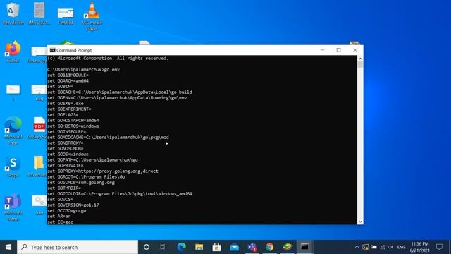 1st Step after Install GoLang | Check GOPATH on Windows 10 смотреть онлайн