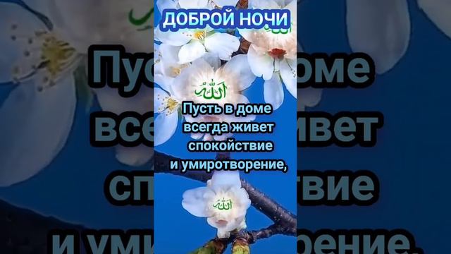 Доброй ночи!Всем, дорогие мои!..Будьте любимы необходимы Будьте здоровы успешны и Богом хранимы