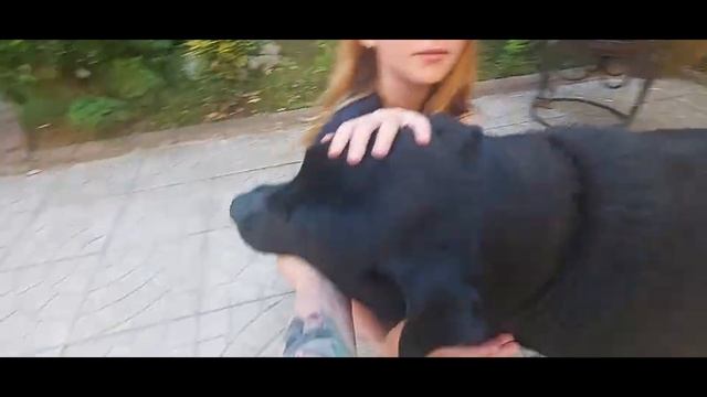 Абхазия, Гагра, июнь 2022 смотреть онлайн