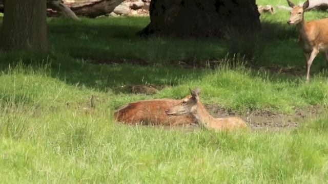 River Thames From Source To Mouth