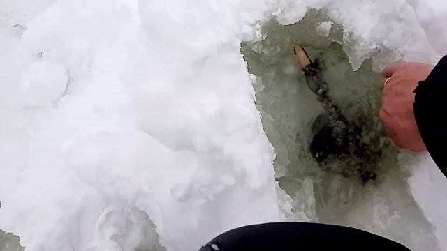 Рыбалка на лесном озере..Поход за щуками..Прорываемся в лесную глушь..Ленинградская область..Часть смотреть онлайн