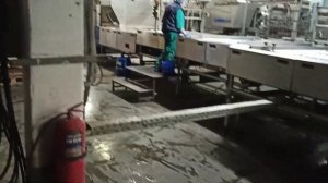 Башкирская птицефабрика Авдон производит 2 миллиона яиц в день