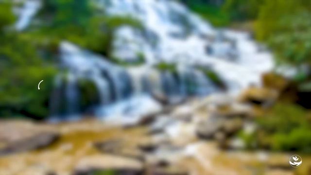 Healing Music 🌿 To Relieve Stress, Fatigue, Depression, Negativity, Detox Negative Emotions смотреть онлайн